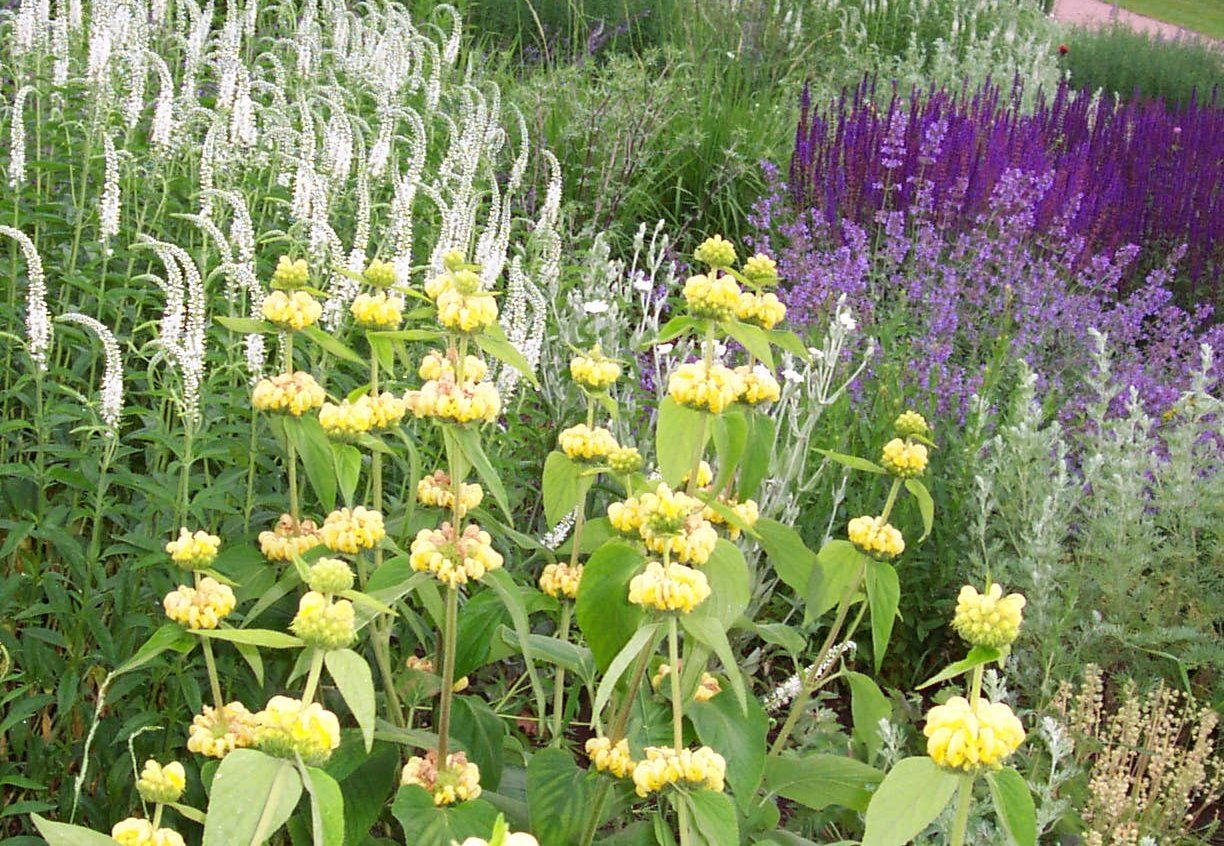 Klimagarten
