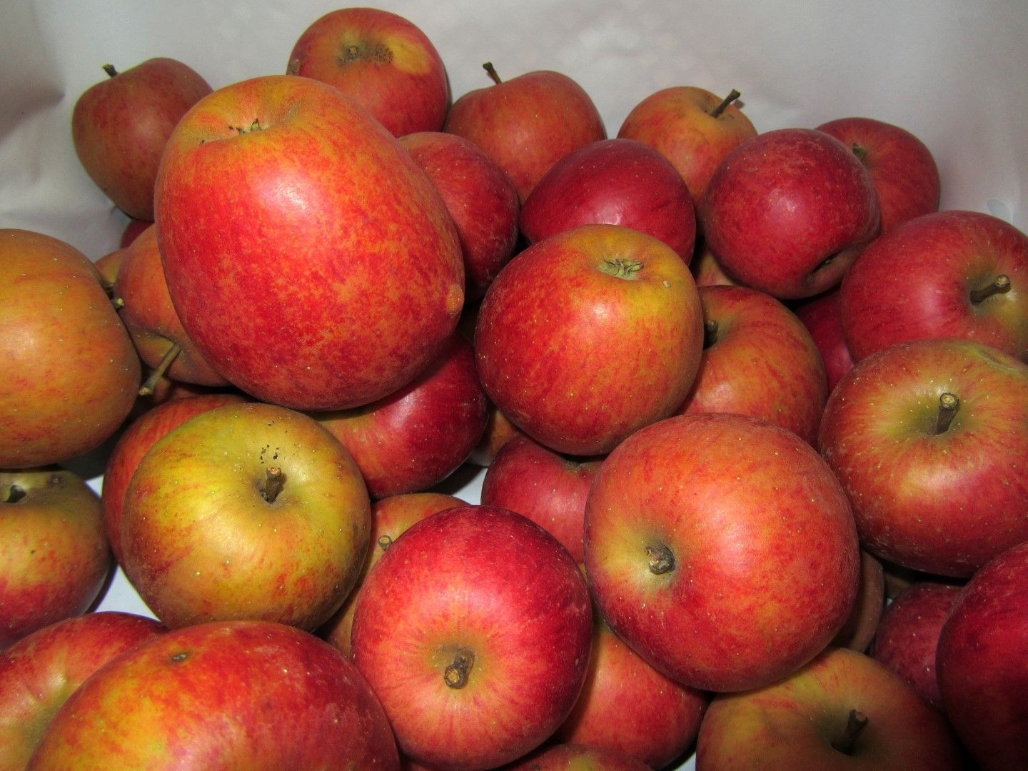 Äpfel