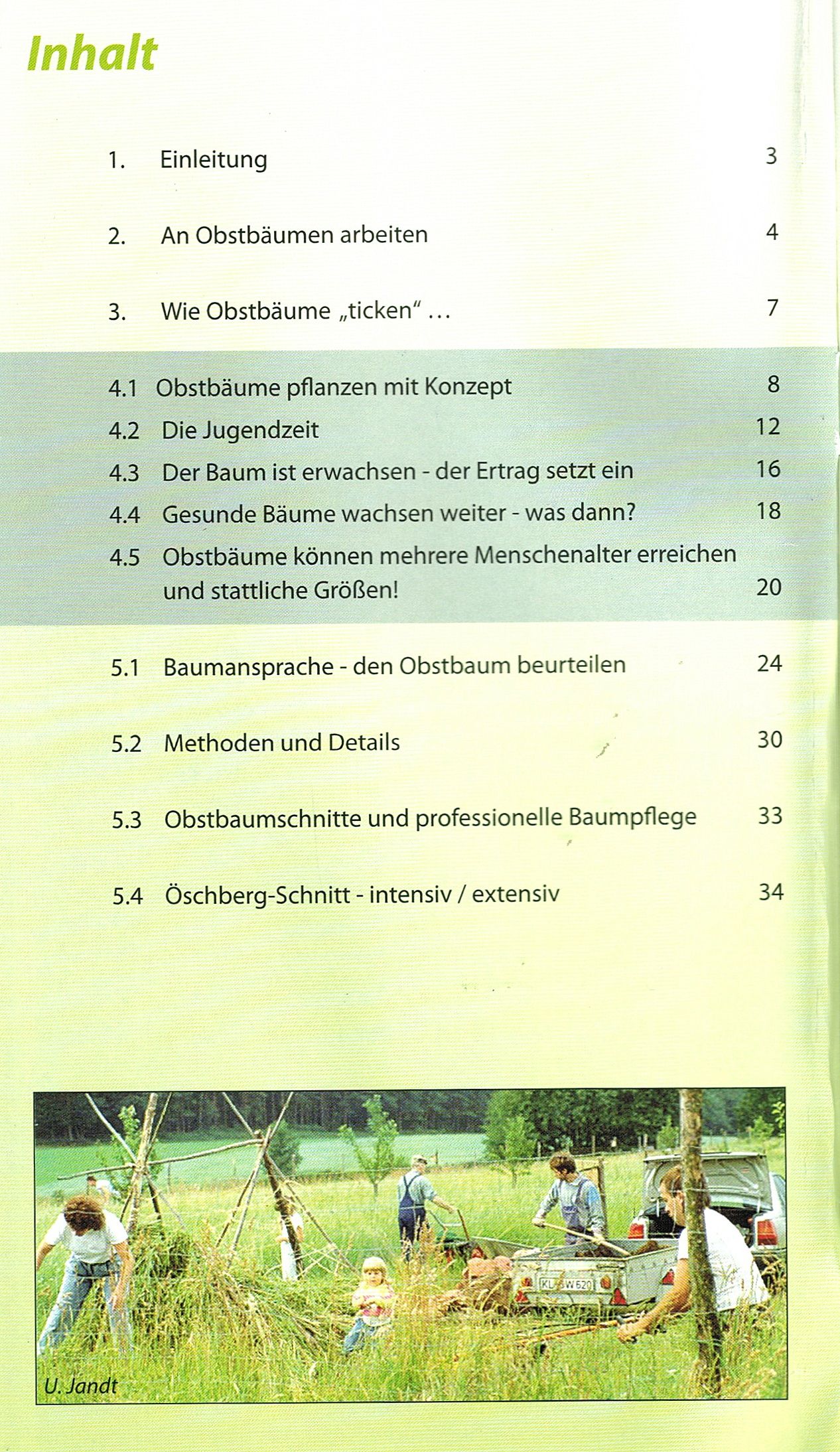 Obstbäume kräftig aufbauen
