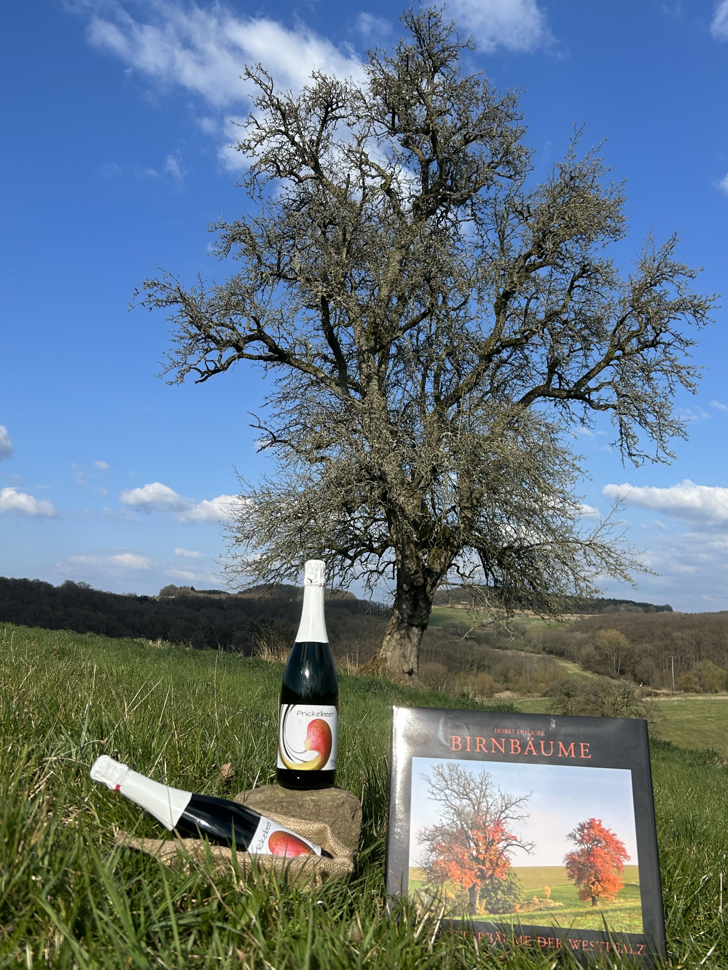 Pfälzer Uraltbirnen-Kulturpaket