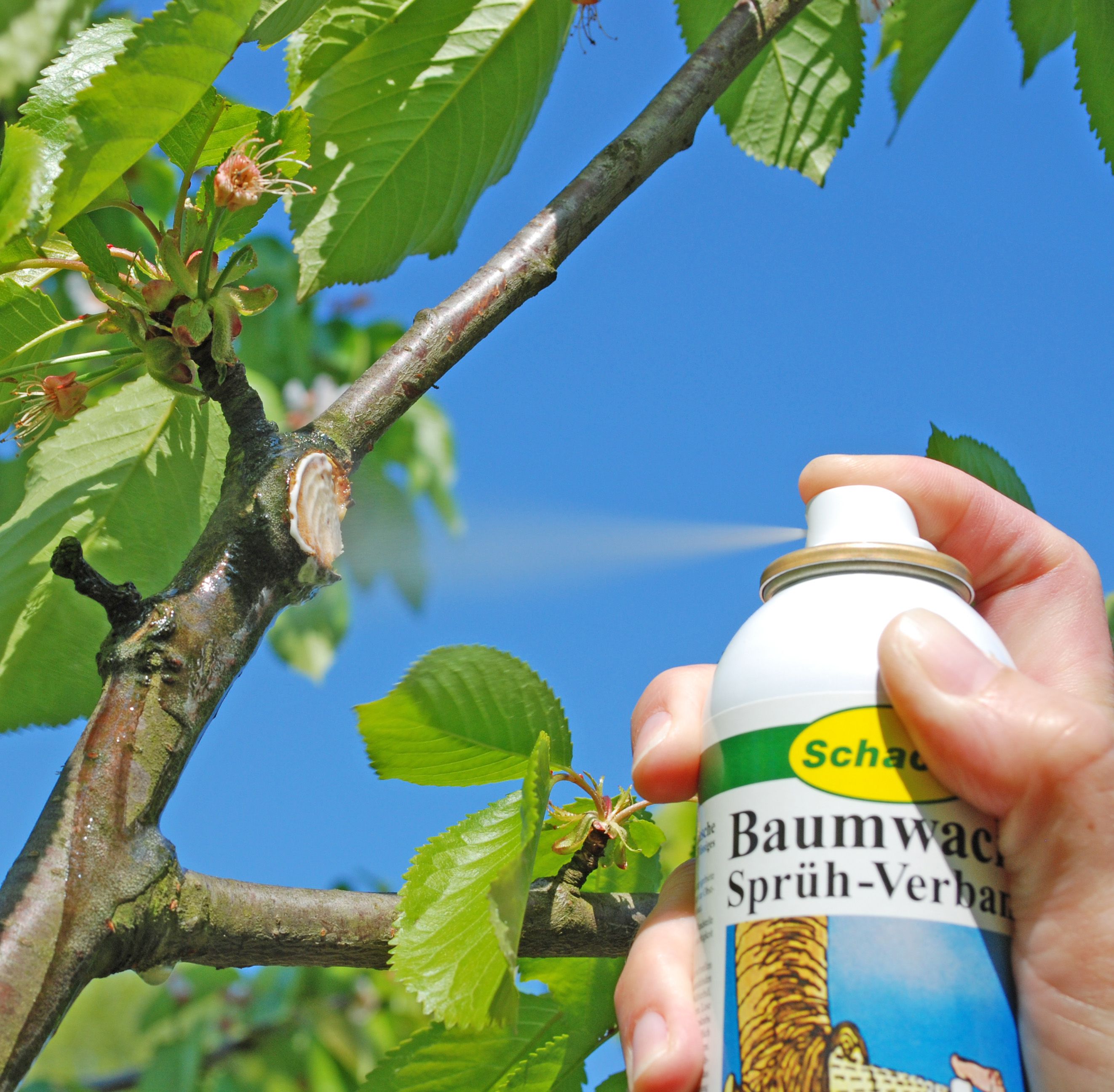 Baumwachs Sprüh-Verband -Schacht-