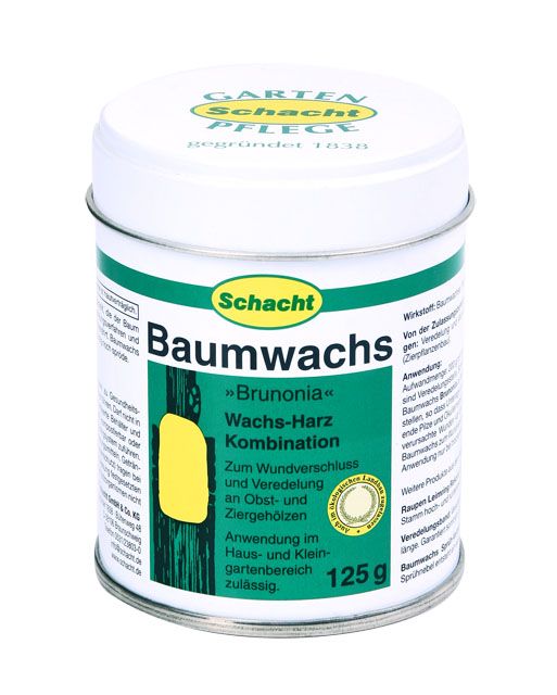 Baumwachs Brunonia -Schacht-