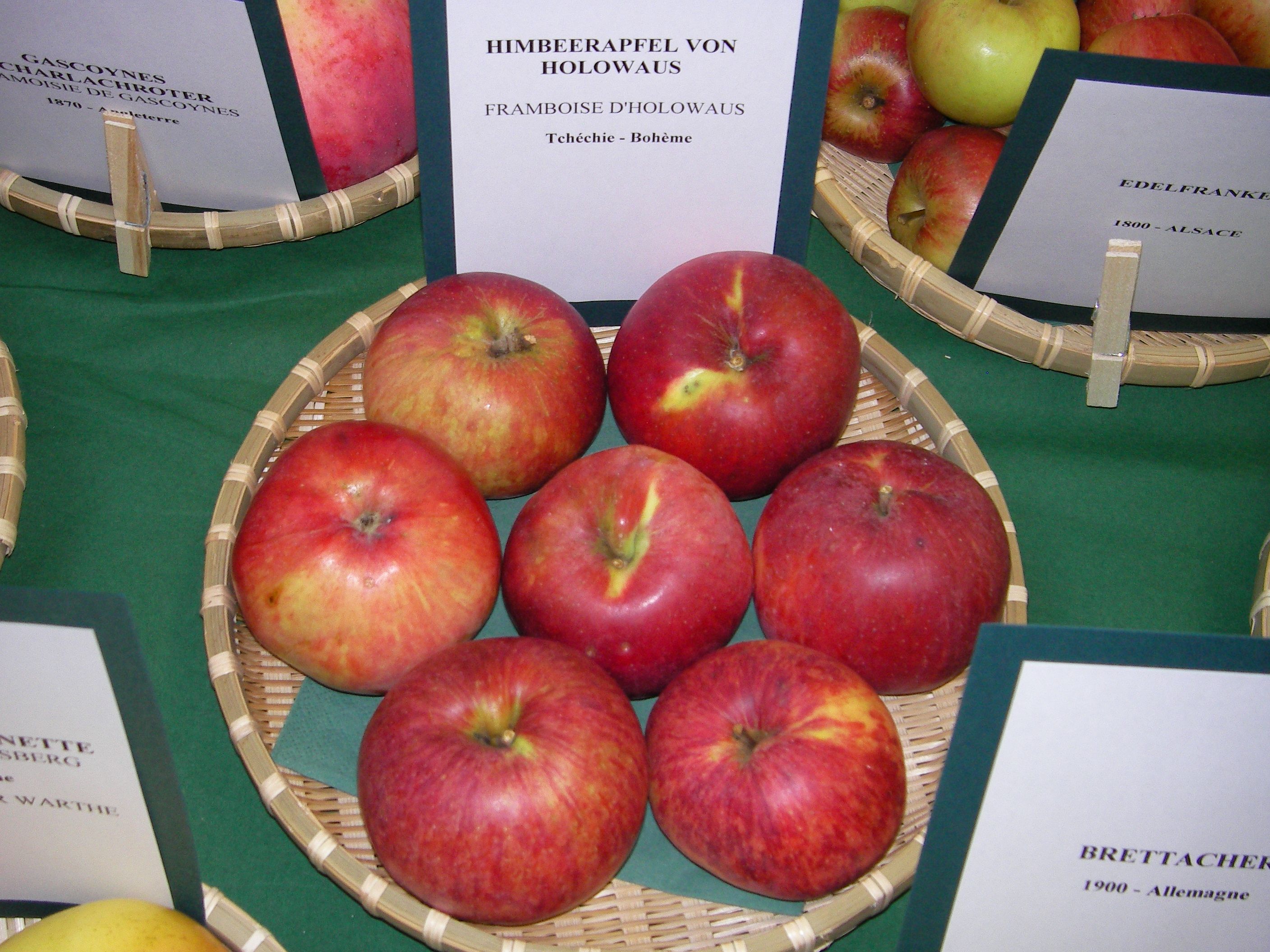 Malus 'Himbeerapfel v. Holovousy'   CAC