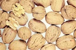 Juglans regia 'Franquette'             CAC
