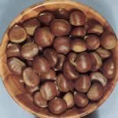 Castanea  sat. x cren. 'Bouche de Betizac'