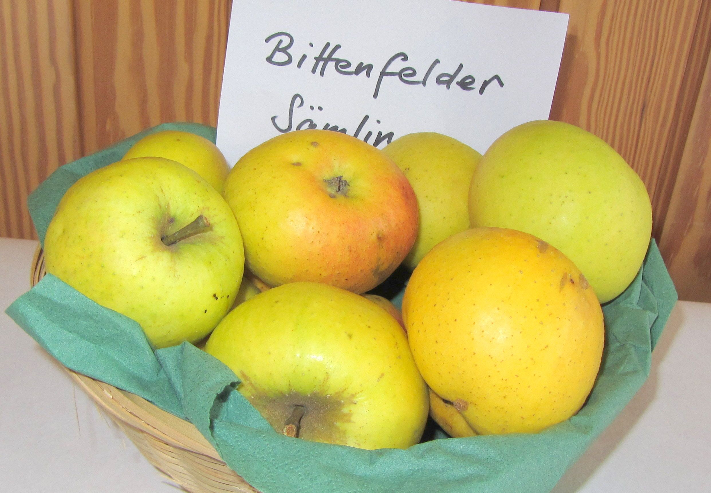 Malus 'Bittenfelder Mostapfel' Vlg. CAC