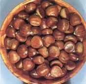 Castanea sat. x cren. 'Marsol'