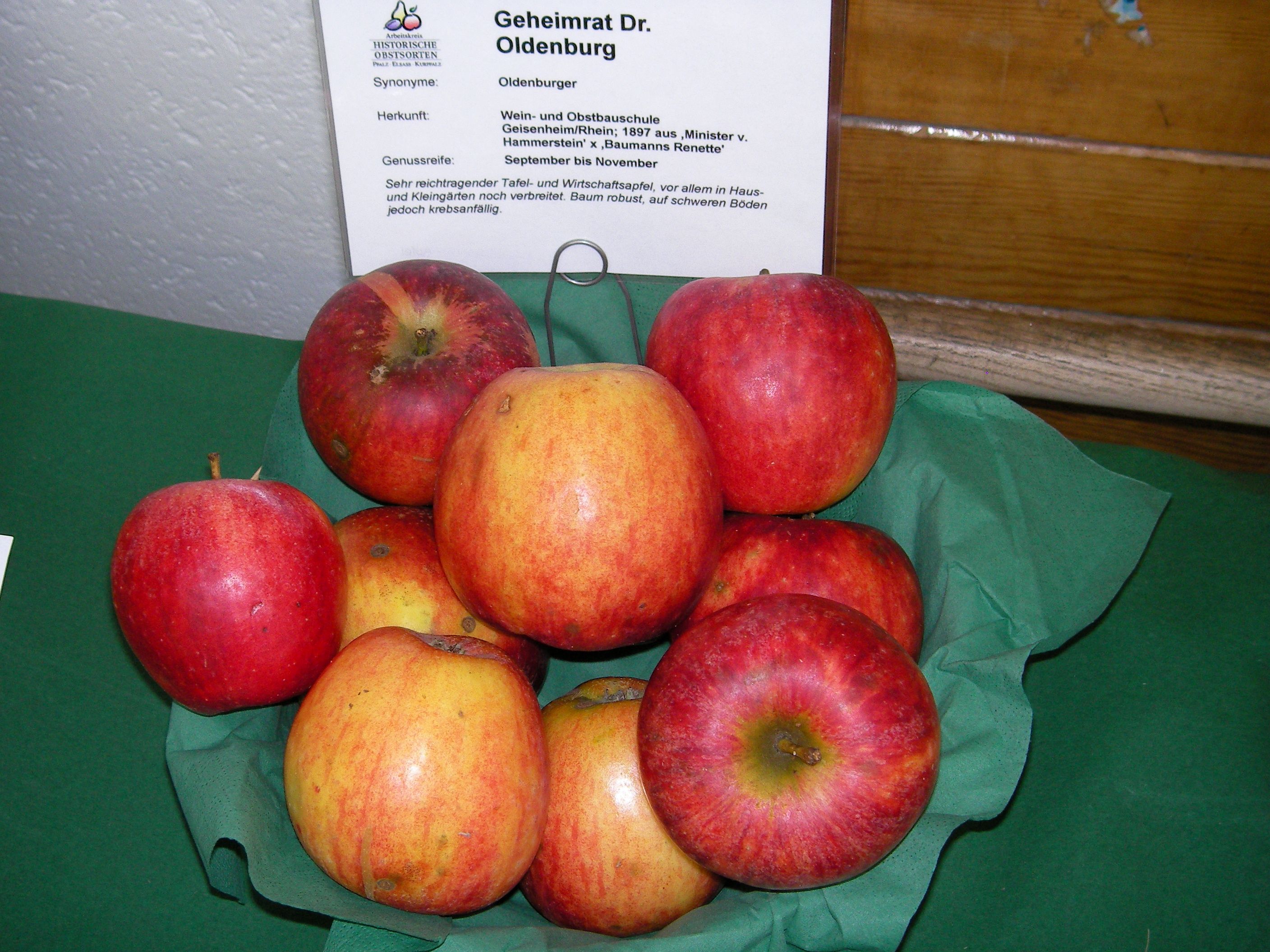 Malus 'Geheimrat Dr. Oldenburg'        CAC