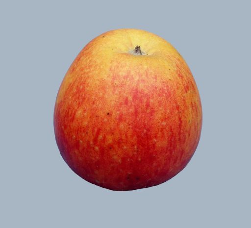Malus 'Geheimrat Dr. Oldenburg'        CAC