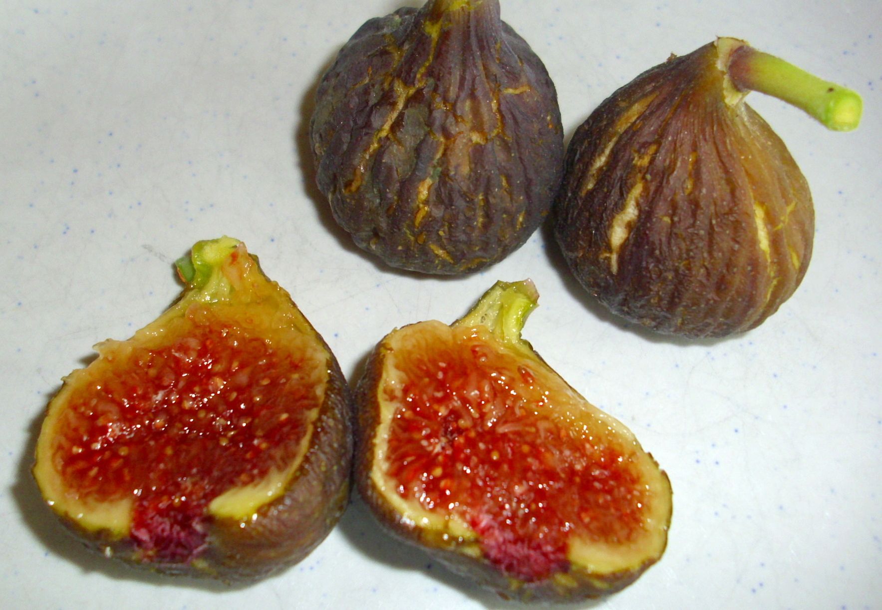 Ficus carica 'Brown Turkey'