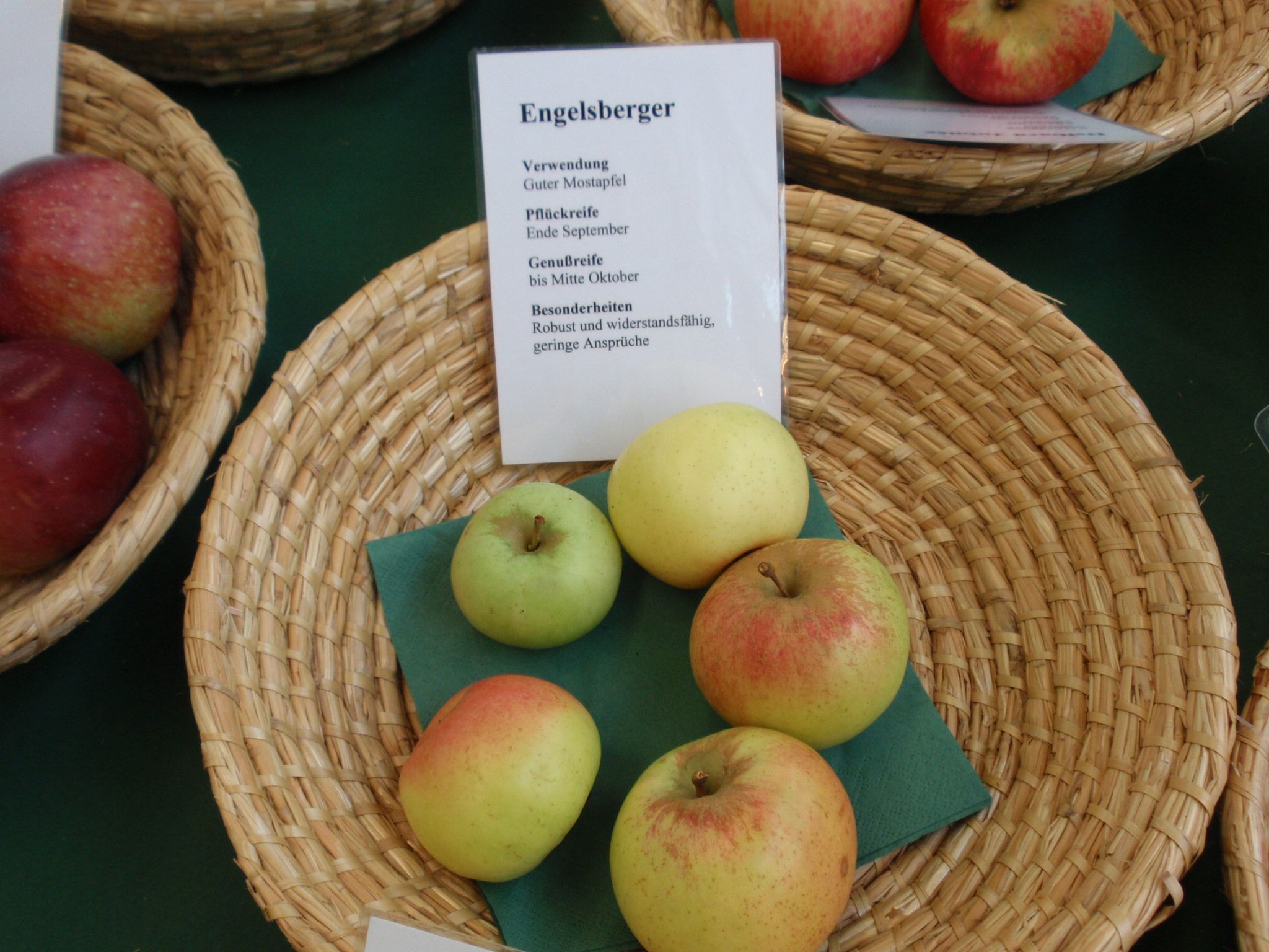 Malus 'Engelsberger Renette'           CAC