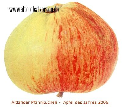 Malus 'Altländer Pfannkuchenapfel'     CAC
