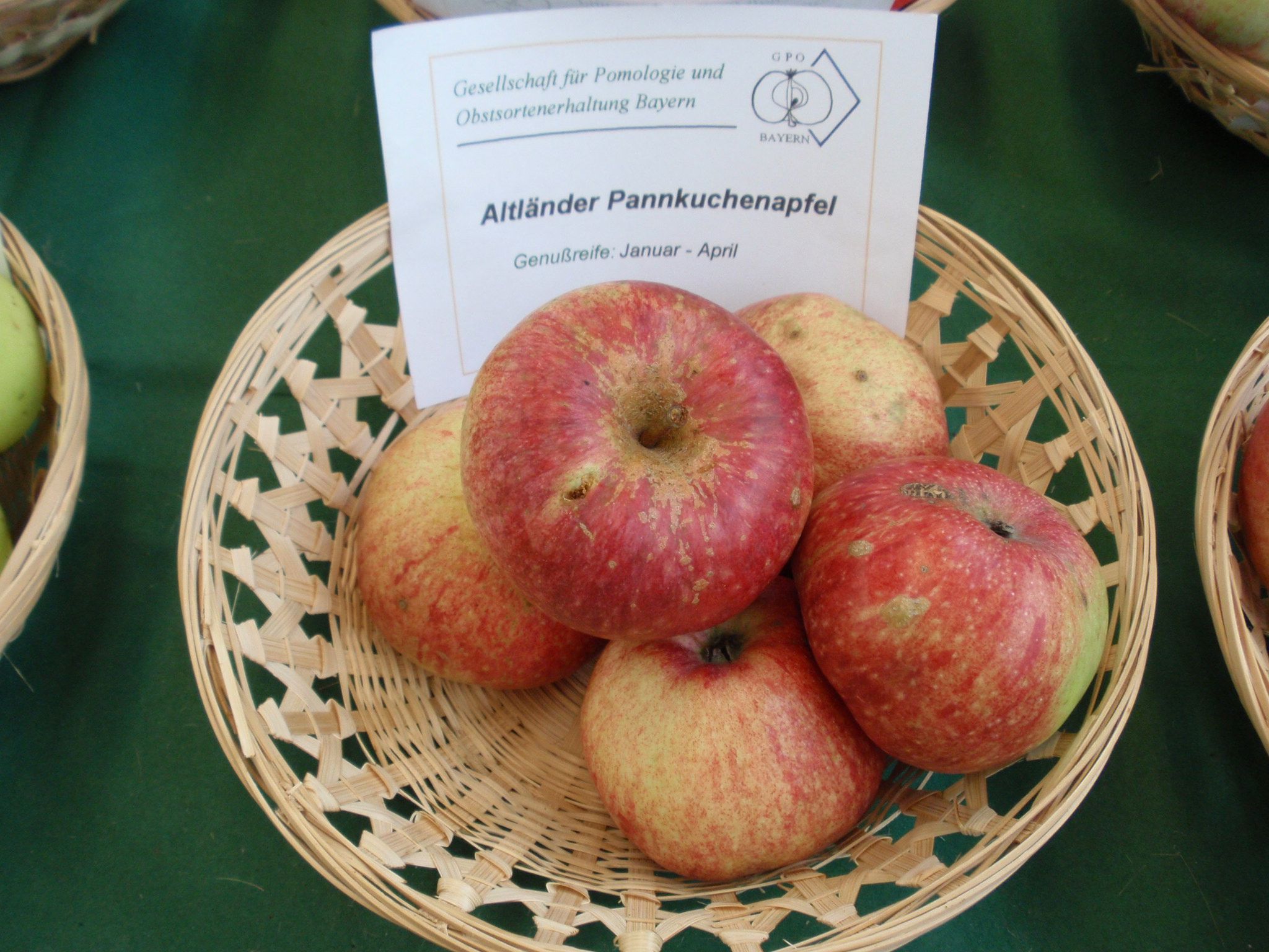 Malus 'Altländer Pfannkuchenapfel'     CAC