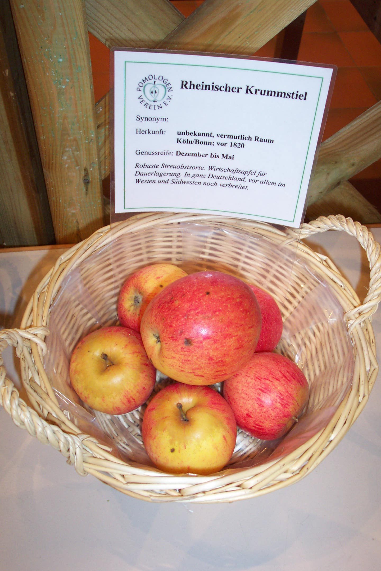 Malus 'Rheinischer Krummstiel'         CAC