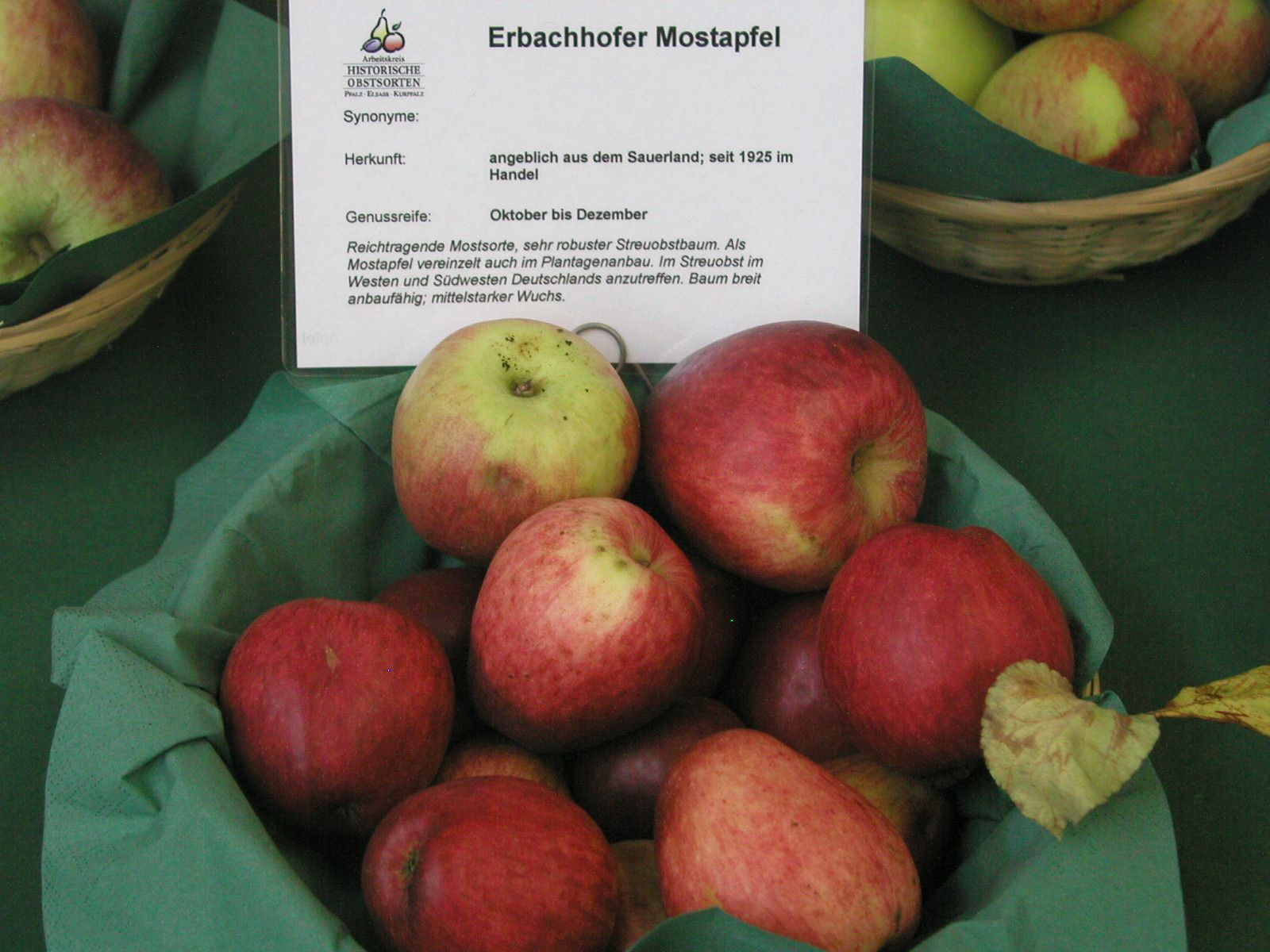 Malus 'Erbachhofer Weinapfel'          CAC