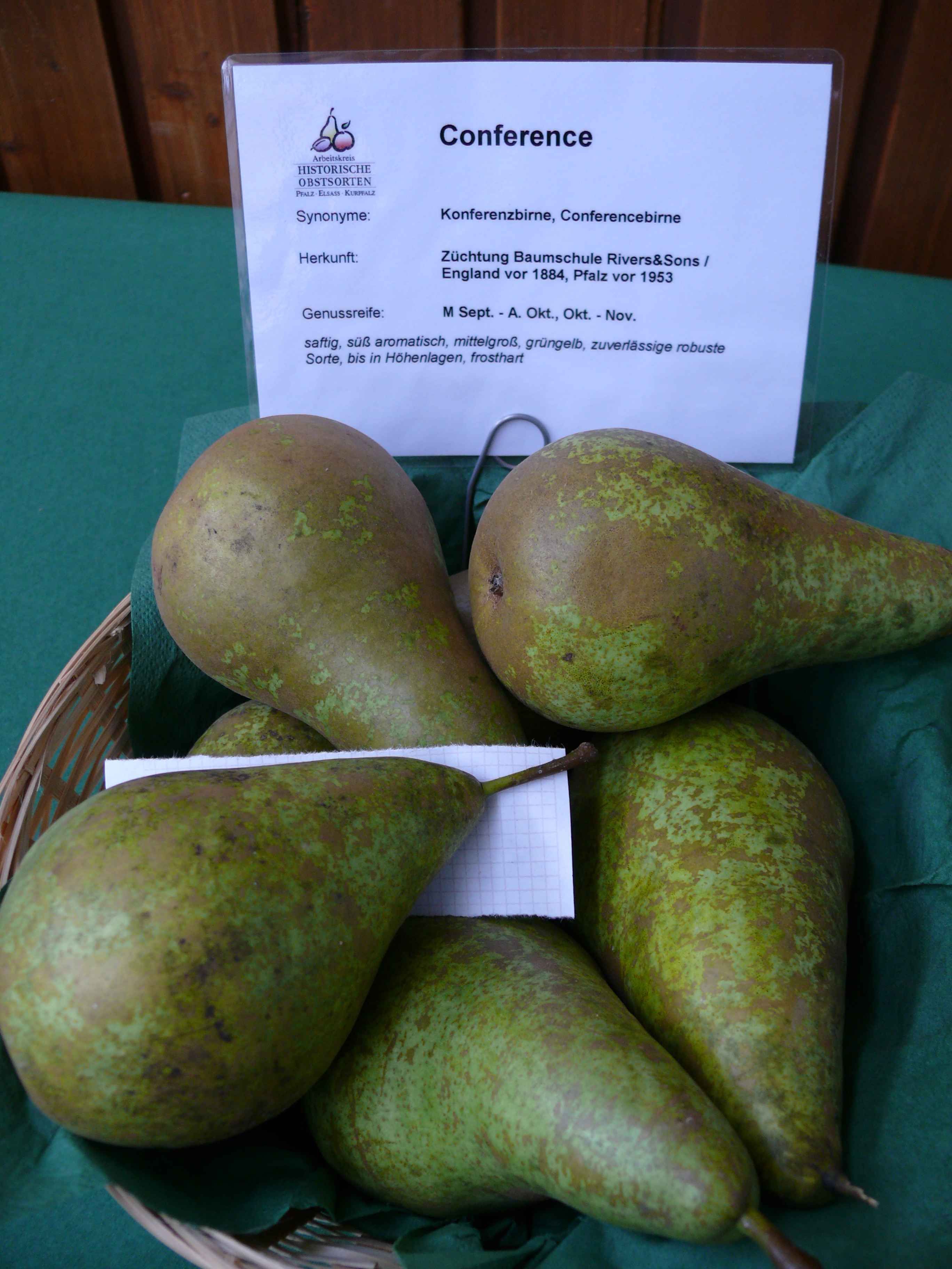 Pyrus com.'Conferencebirne'            CAC