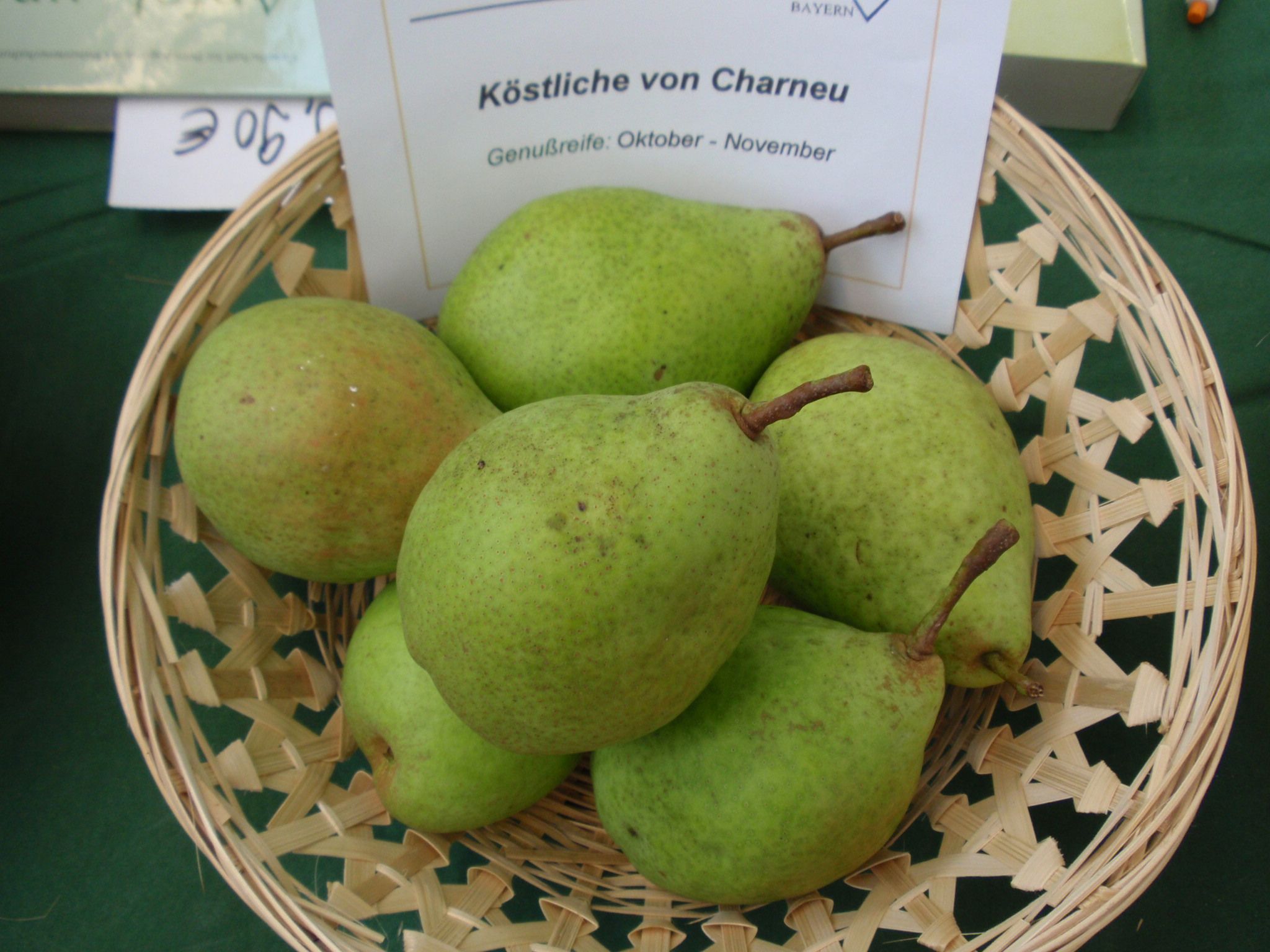 Pyrus com.'Köstliche von Charneu'      CAC