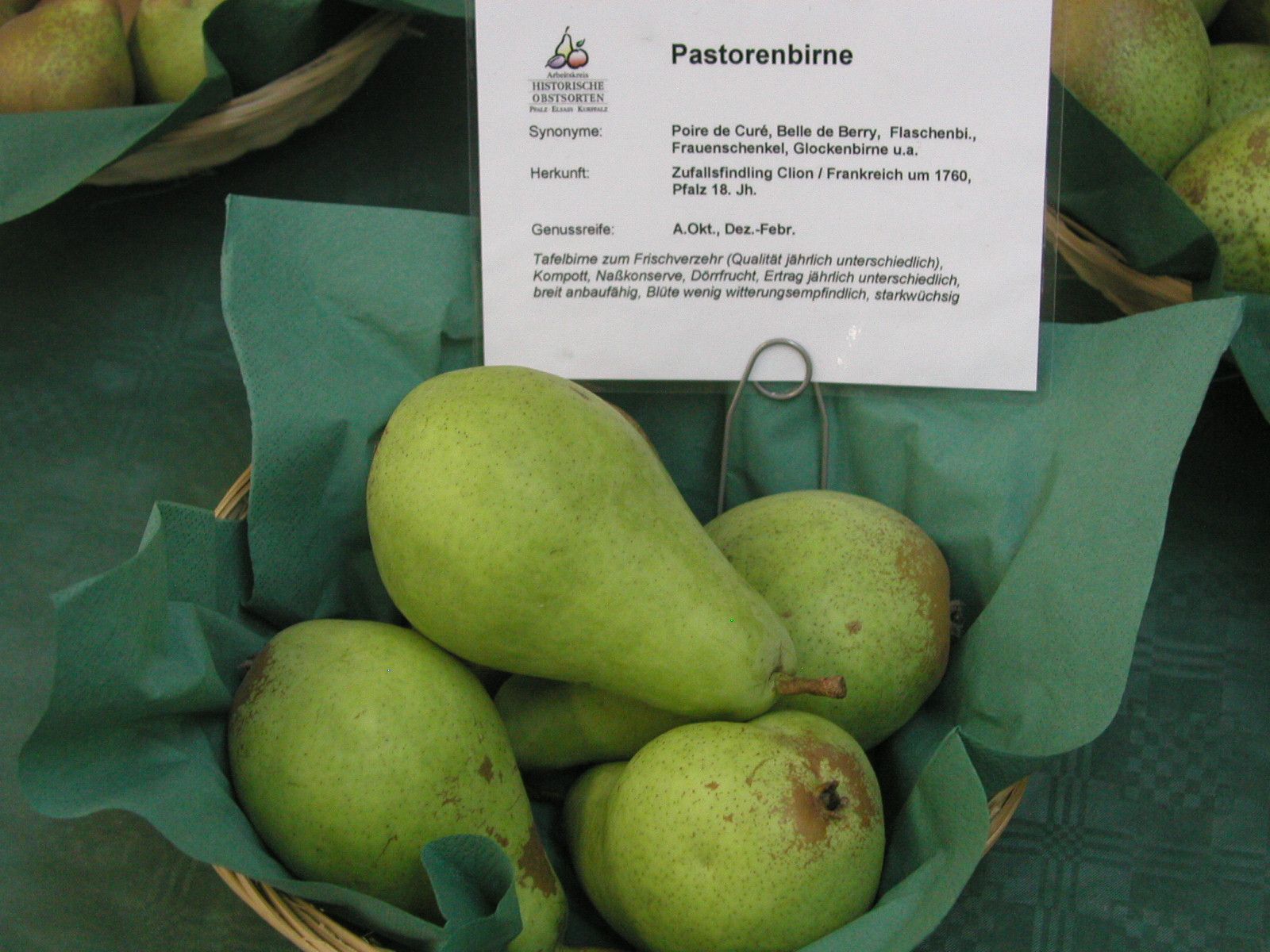 Pyrus com.'Pastorenbirne'              CAC